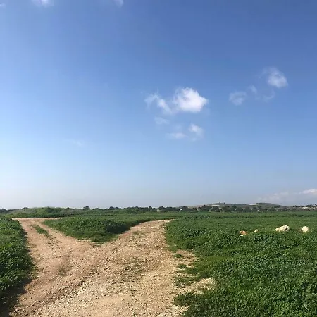 Tranquil Country - Tersefanou Casa rural