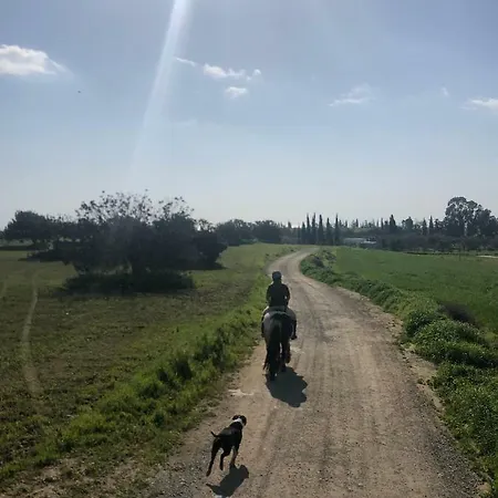 Tranquil Country - Tersefanou Casa rural *