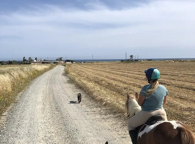 Lantställe Tranquil Country - Tersefanou Larnaca