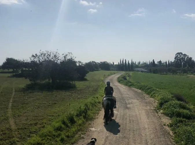 Tranquil Country - Tersefanou Lantställe *