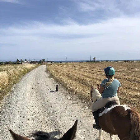 Εξοχικό σπίτι Tranquil Country - Tersefanou Λάρνακα